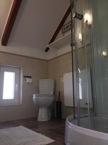 Фото номера Апартаменты с видом на сад Гостевой дом Casa Moldovan ( Coltisorul meu de rai) г. Окна-Шугатаг 9