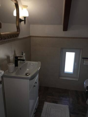 Фото номера Апартаменты с видом на сад Гостевой дом Casa Moldovan ( Coltisorul meu de rai) г. Окна-Шугатаг 23