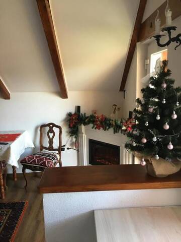 Фото номера Апартаменты с видом на сад Гостевой дом Casa Moldovan ( Coltisorul meu de rai) г. Окна-Шугатаг 18