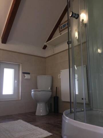 Фото номера Апартаменты с видом на сад Гостевой дом Casa Moldovan ( Coltisorul meu de rai) г. Окна-Шугатаг 24