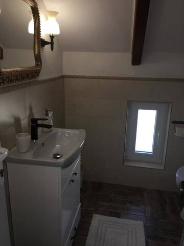Фото номера Апартаменты с видом на сад Гостевой дом Casa Moldovan ( Coltisorul meu de rai) г. Окна-Шугатаг 8